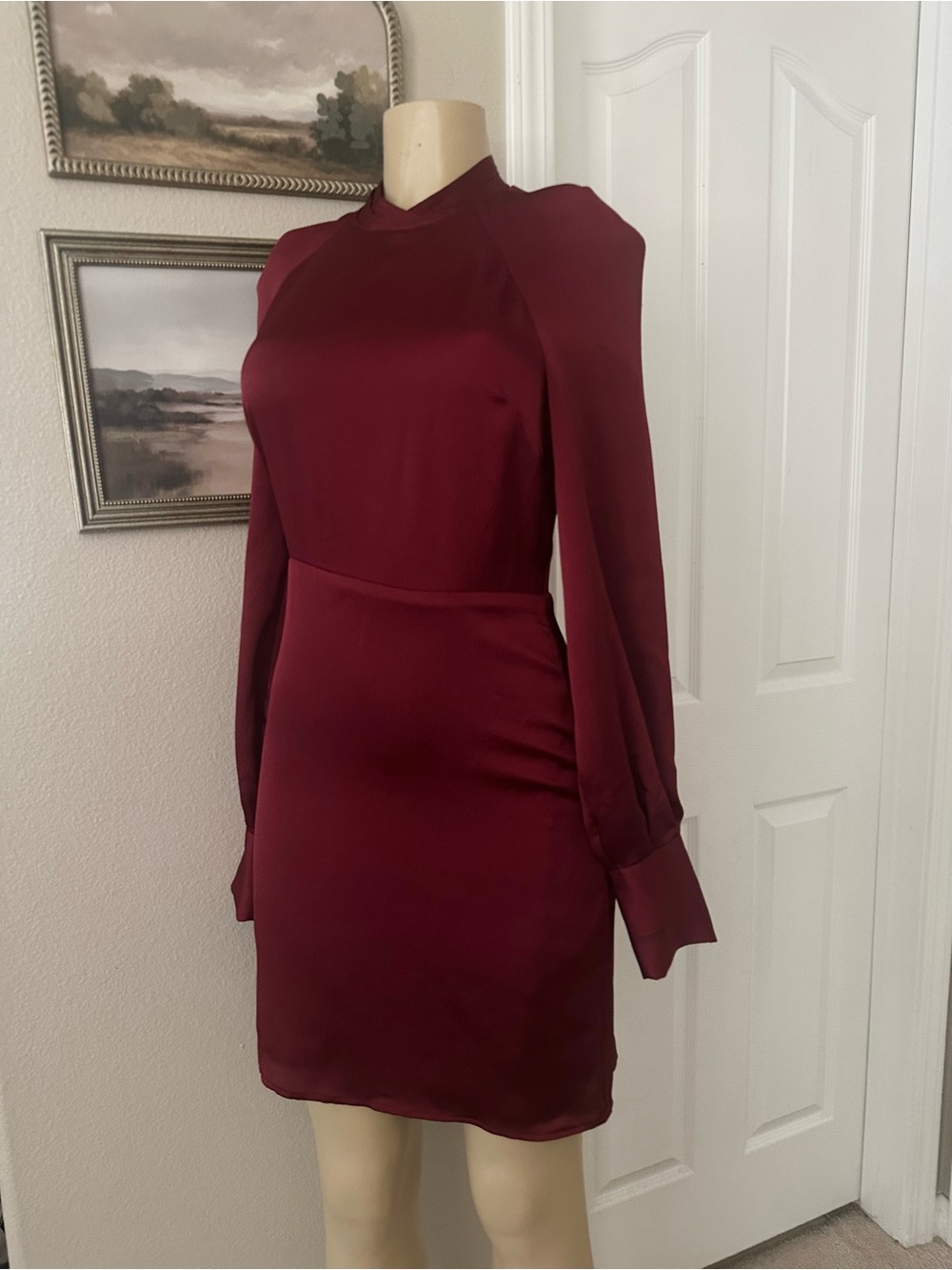 Express Wine Red Long-Sleeve Mini Dress